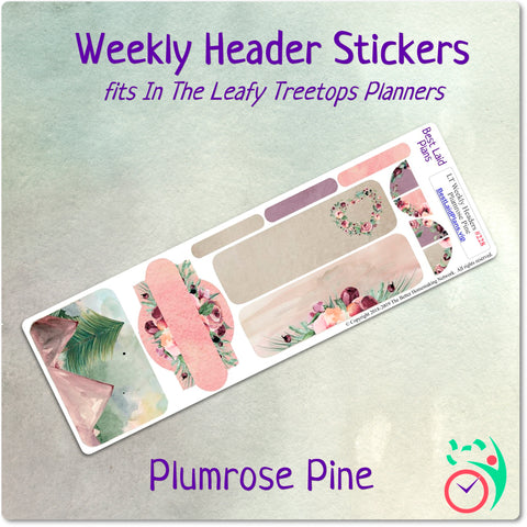 Image of Leafy Treetops Weekly Header Boxes Plumrose Pine