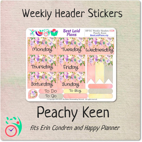 Image of Erin Condren Horizontal Weekly Kit Peachy Keen